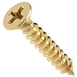 Flat Head Screw